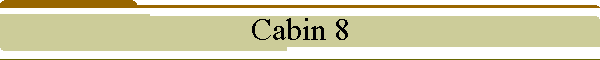 Cabin 8
